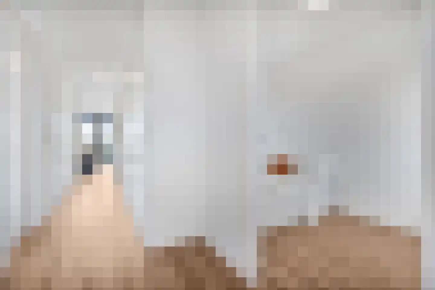 Julius Pergerstraat 57 Amsterdam thumbnail 21