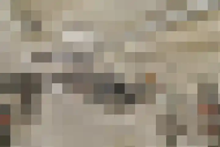 Julius Pergerstraat 77 Amsterdam thumbnail 34