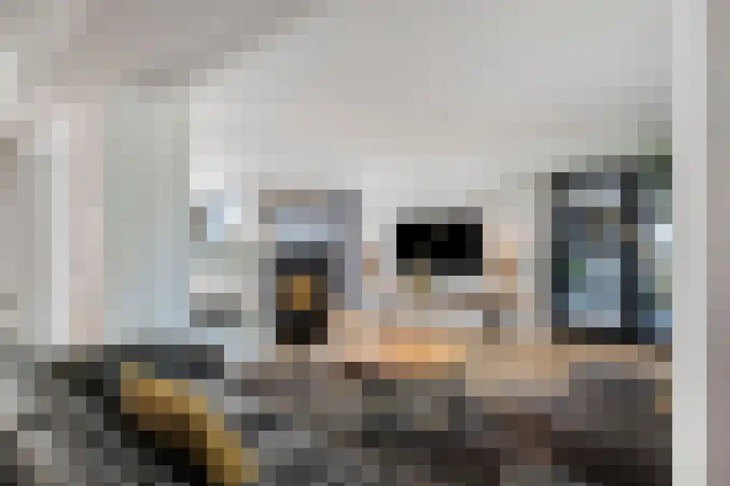 Julius Röntgenlaan 14 Leidschendam thumbnail 11
