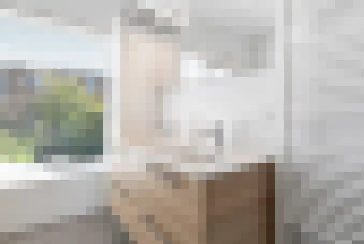 Julius Röntgenlaan 14 Leidschendam thumbnail 34