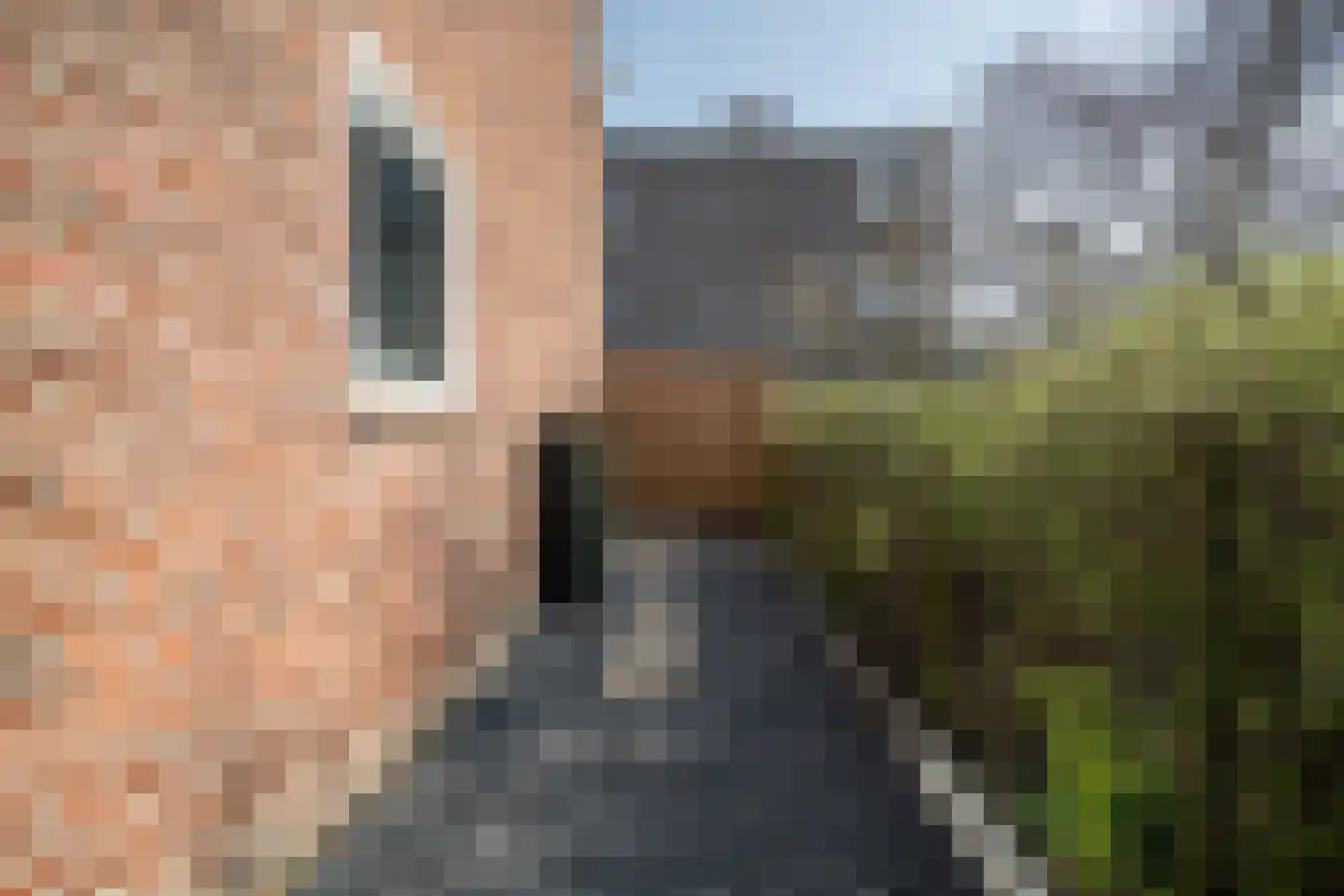 Julius Röntgenlaan 18 Leidschendam thumbnail 11