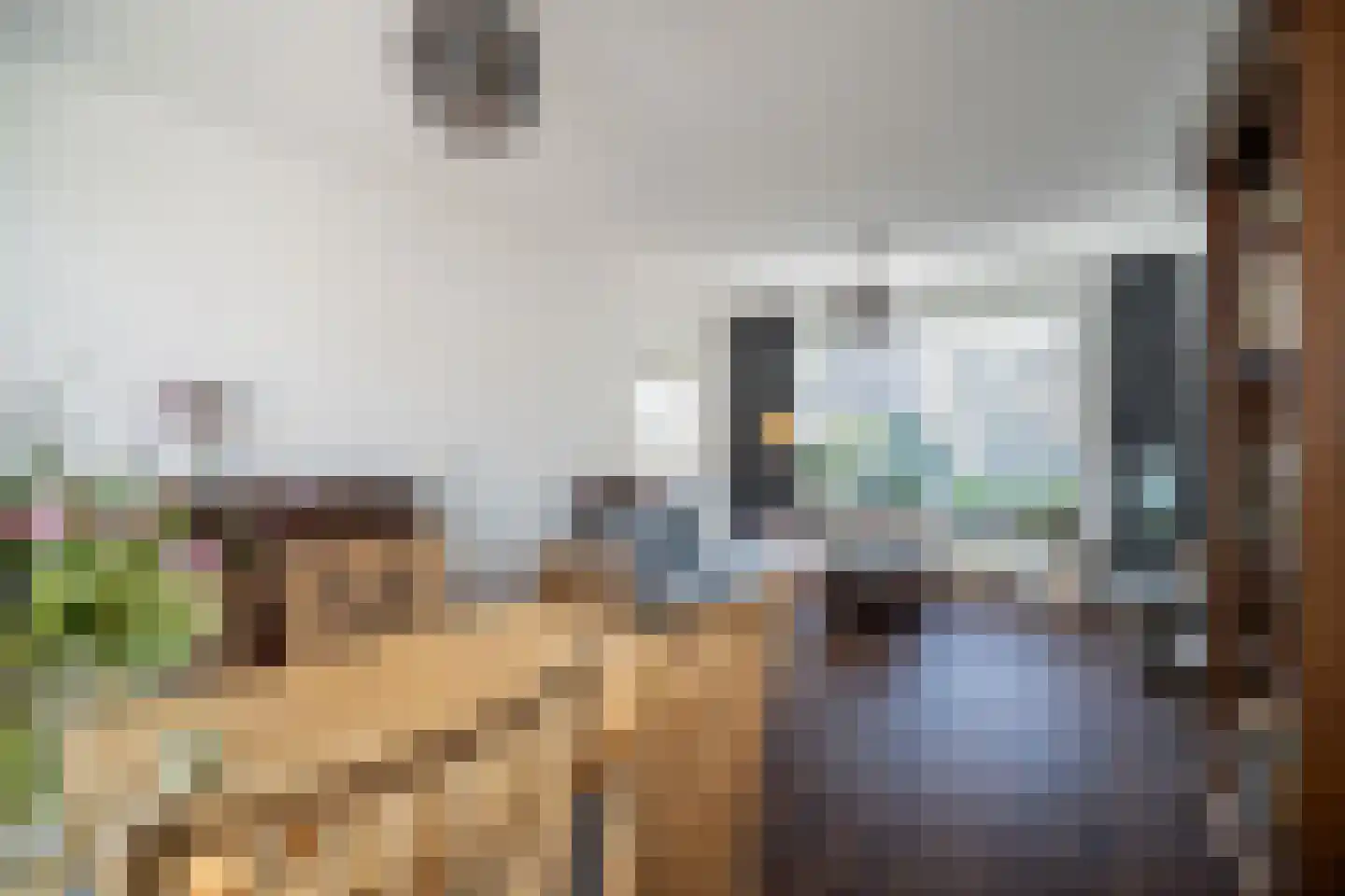 Julius Röntgenlaan 18 Leidschendam thumbnail 19