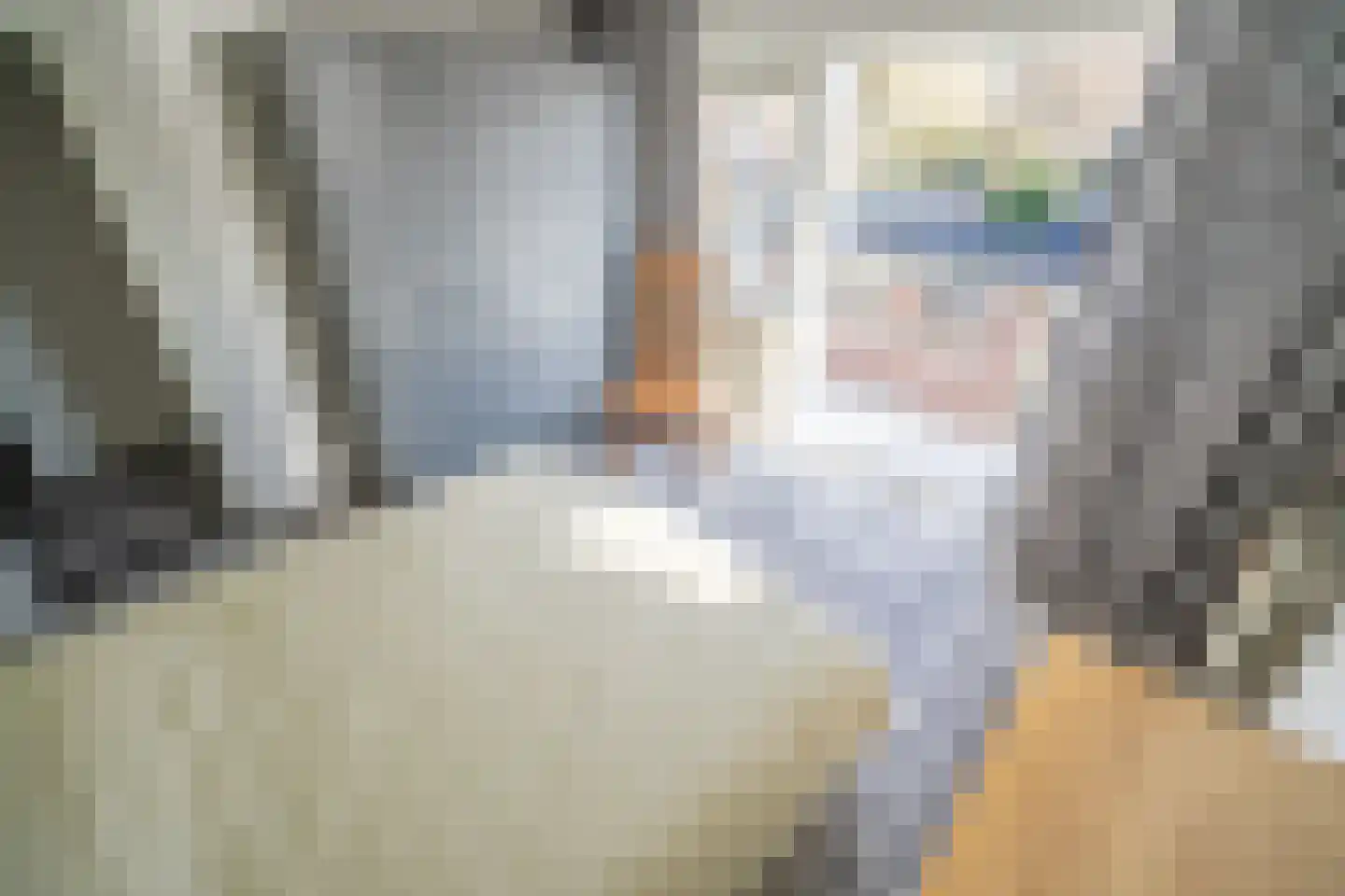 Julius Röntgenlaan 18 Leidschendam thumbnail 37