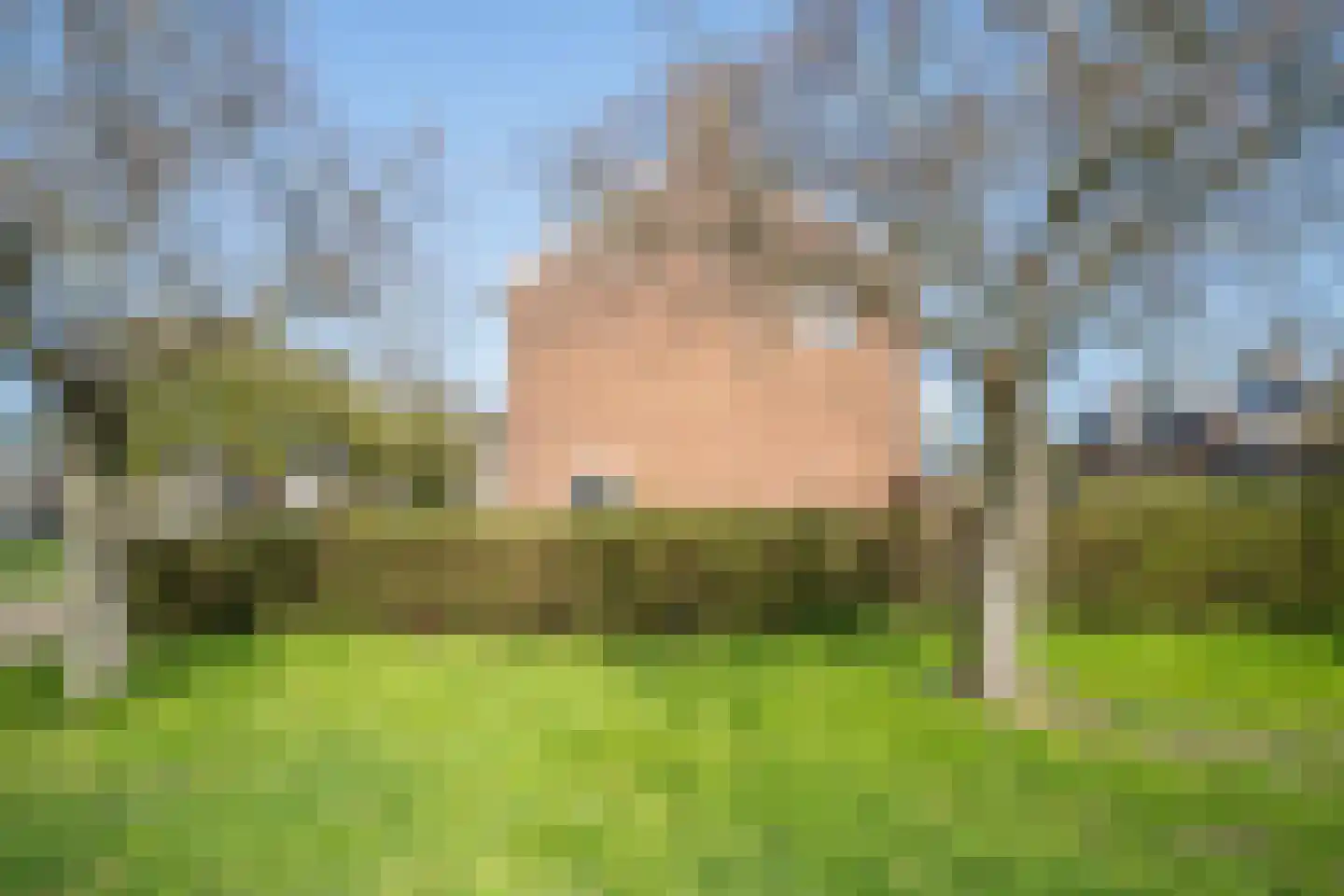 Julius Röntgenlaan 18 Leidschendam thumbnail 50