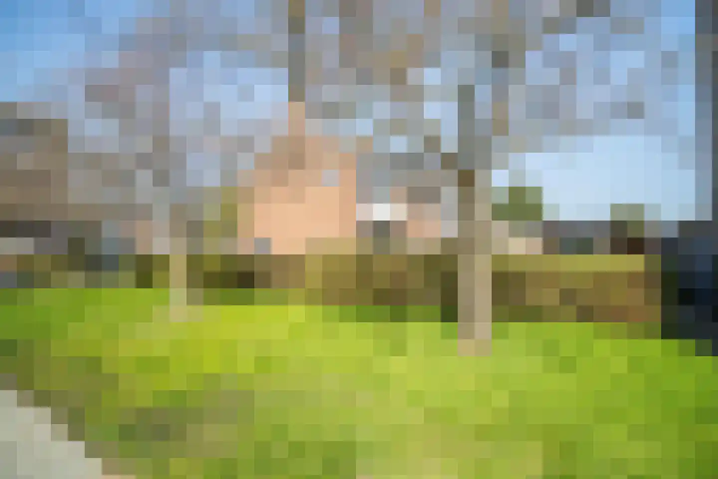 Julius Röntgenlaan 18 Leidschendam thumbnail 51