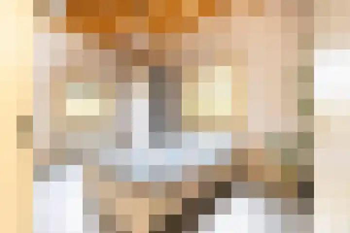 Julius Röntgenstraat 14 Leiden thumbnail 26