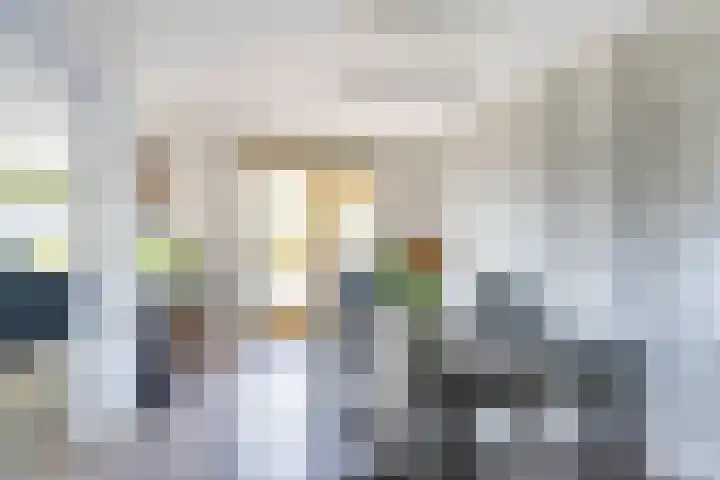 Julius Röntgenstraat 14 Leiden thumbnail 6