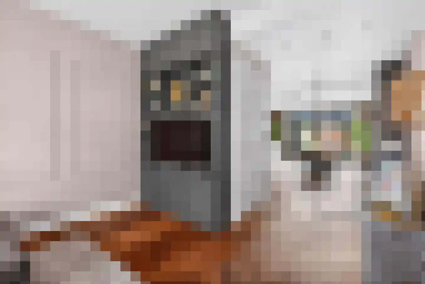 Juliusstraat 14 Eindhoven thumbnail 12