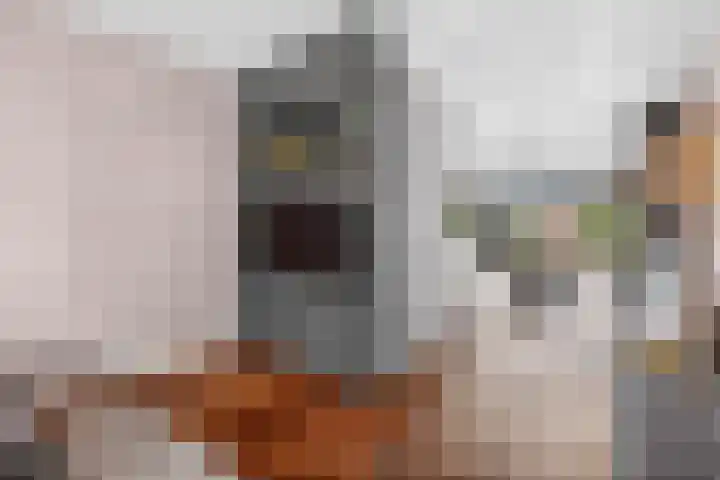 Juliusstraat 14 Eindhoven thumbnail 12