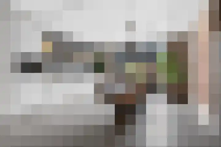 Juliusstraat 14 Eindhoven thumbnail 15