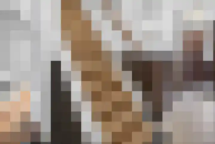 Juliusstraat 14 Eindhoven thumbnail 27