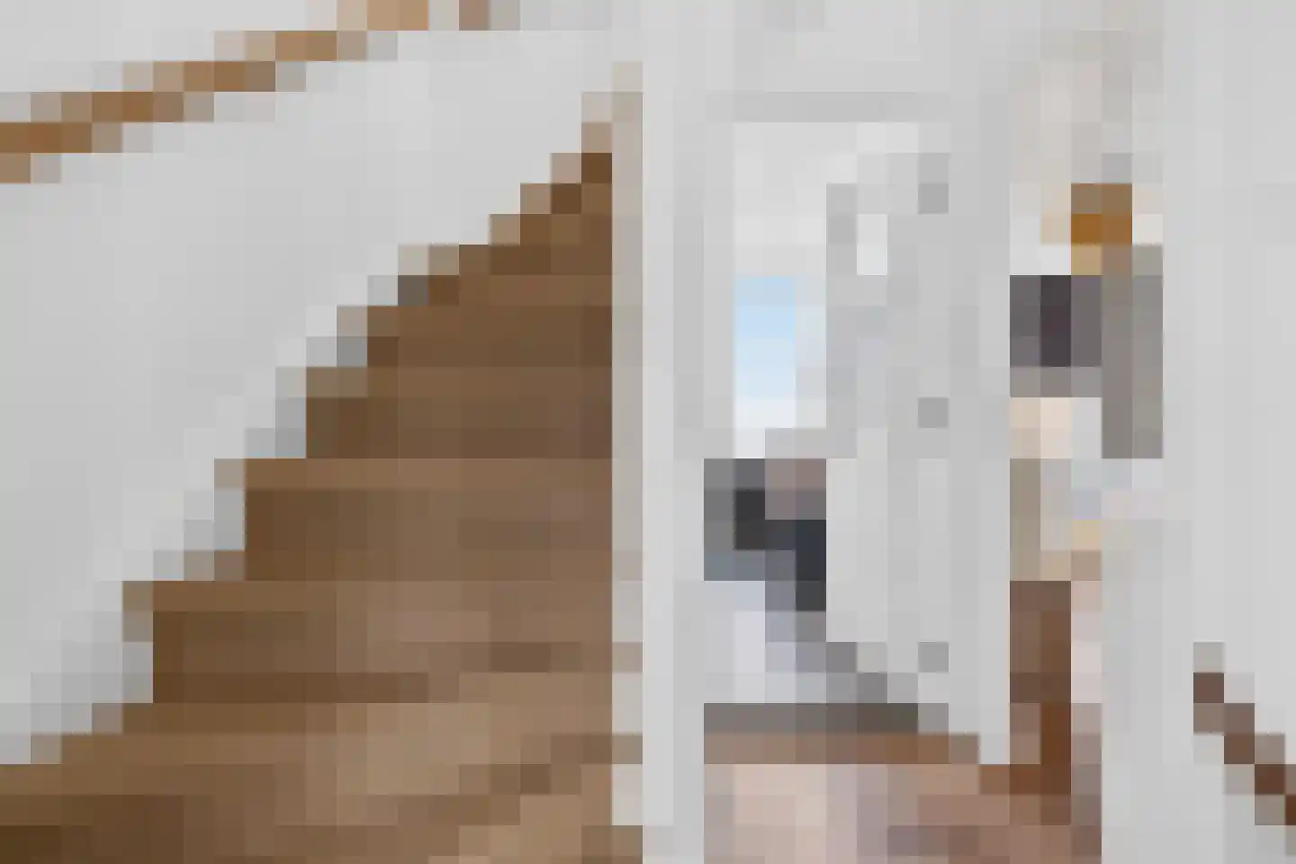 Juliusstraat 14 Eindhoven thumbnail 29