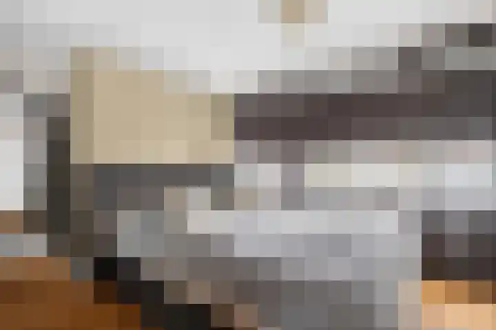 Juliusstraat 14 Eindhoven thumbnail 33