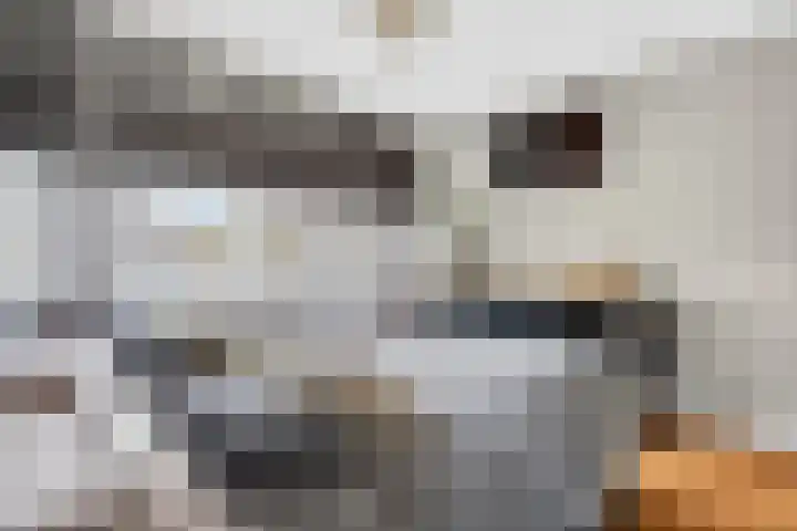 Juliusstraat 14 Eindhoven thumbnail 34