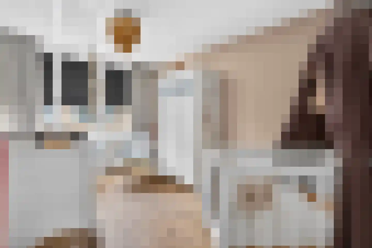 Juliusstraat 14 Eindhoven thumbnail 37