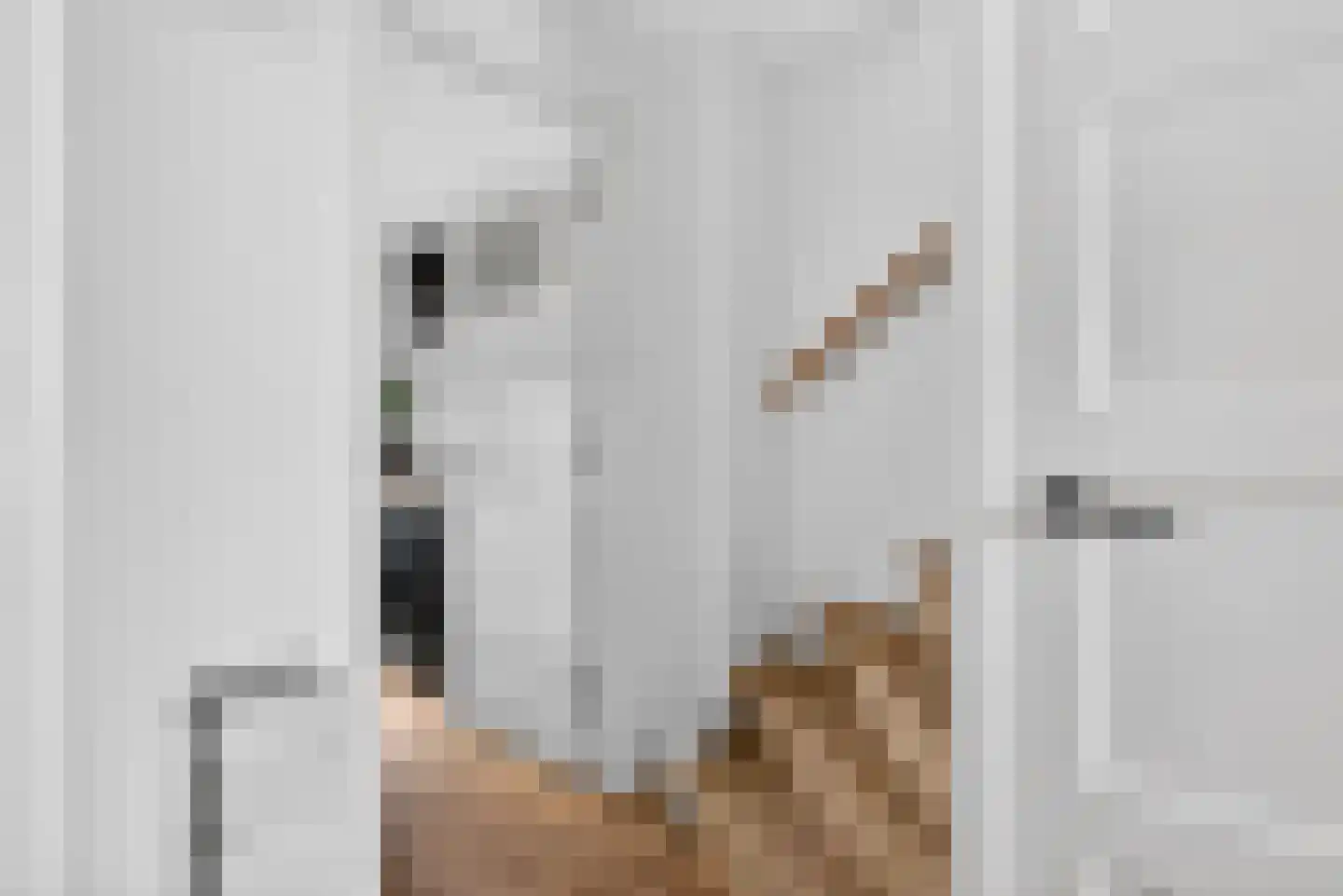 Juliusstraat 14 Eindhoven thumbnail 39