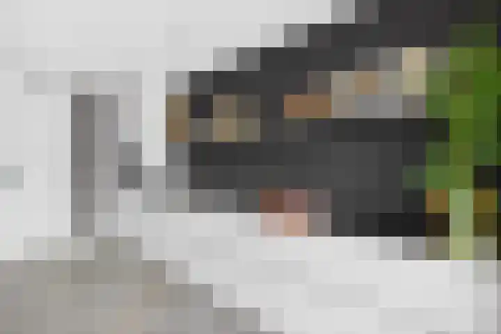 Juliusstraat 14 Eindhoven thumbnail 4