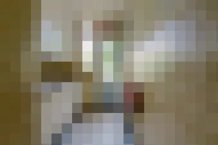 Juliusstraat 19 Eindhoven thumbnail 14