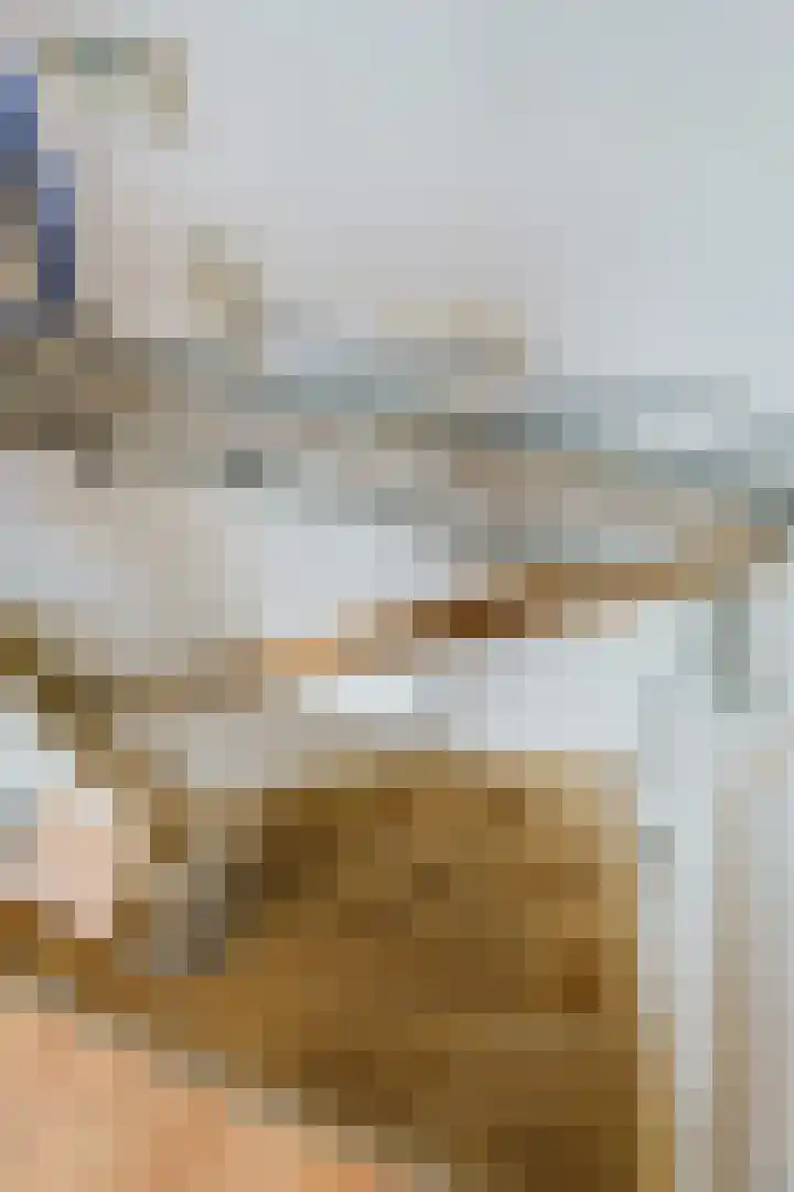Juliusstraat 19 Eindhoven thumbnail 37