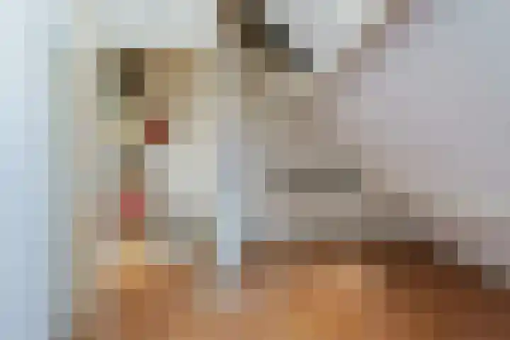 Juliusstraat 19 Eindhoven thumbnail 39