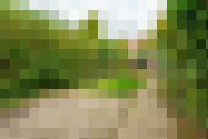 Juliusstraat 19 Eindhoven thumbnail 42