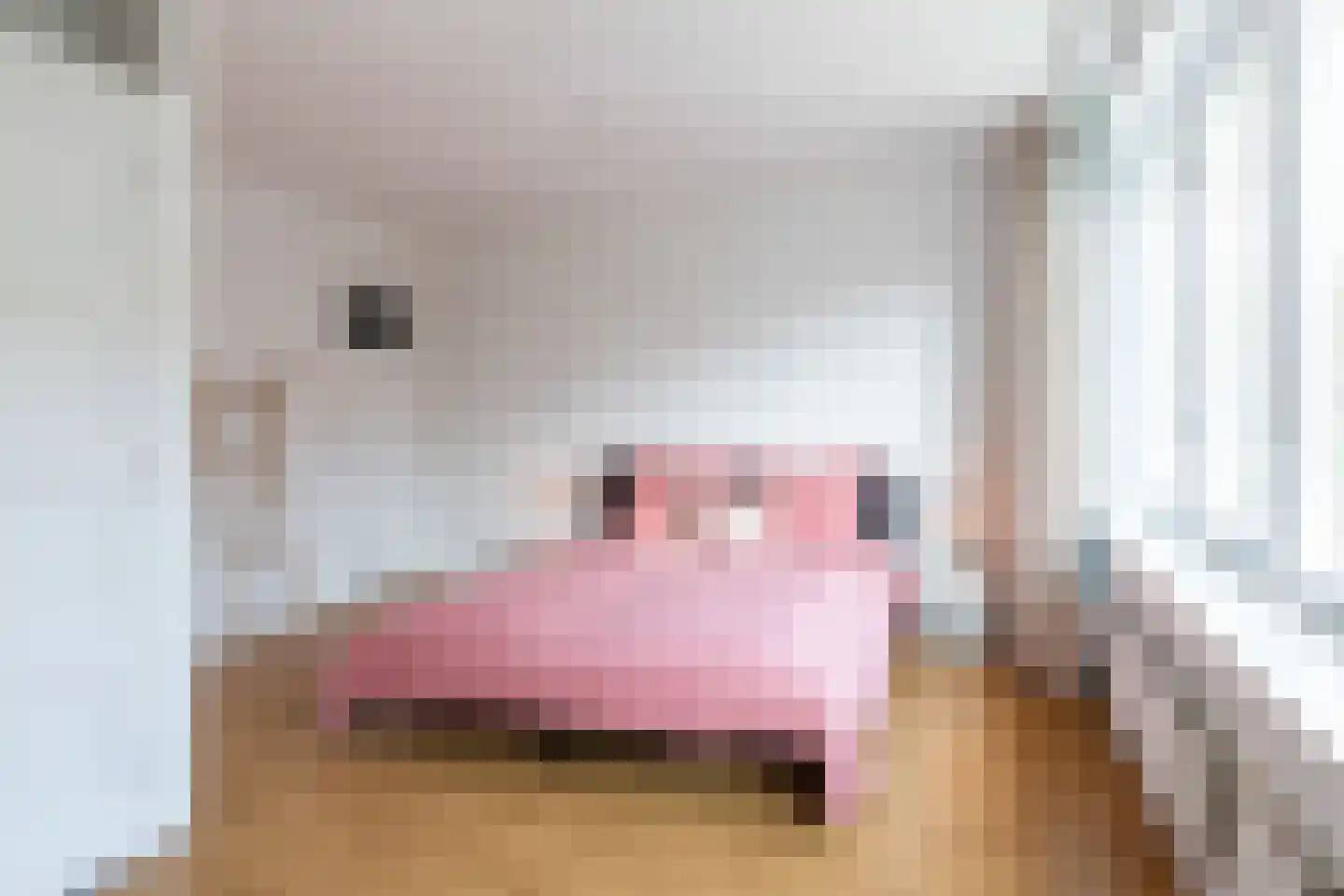 Juliusstraat 28 Eindhoven thumbnail 13