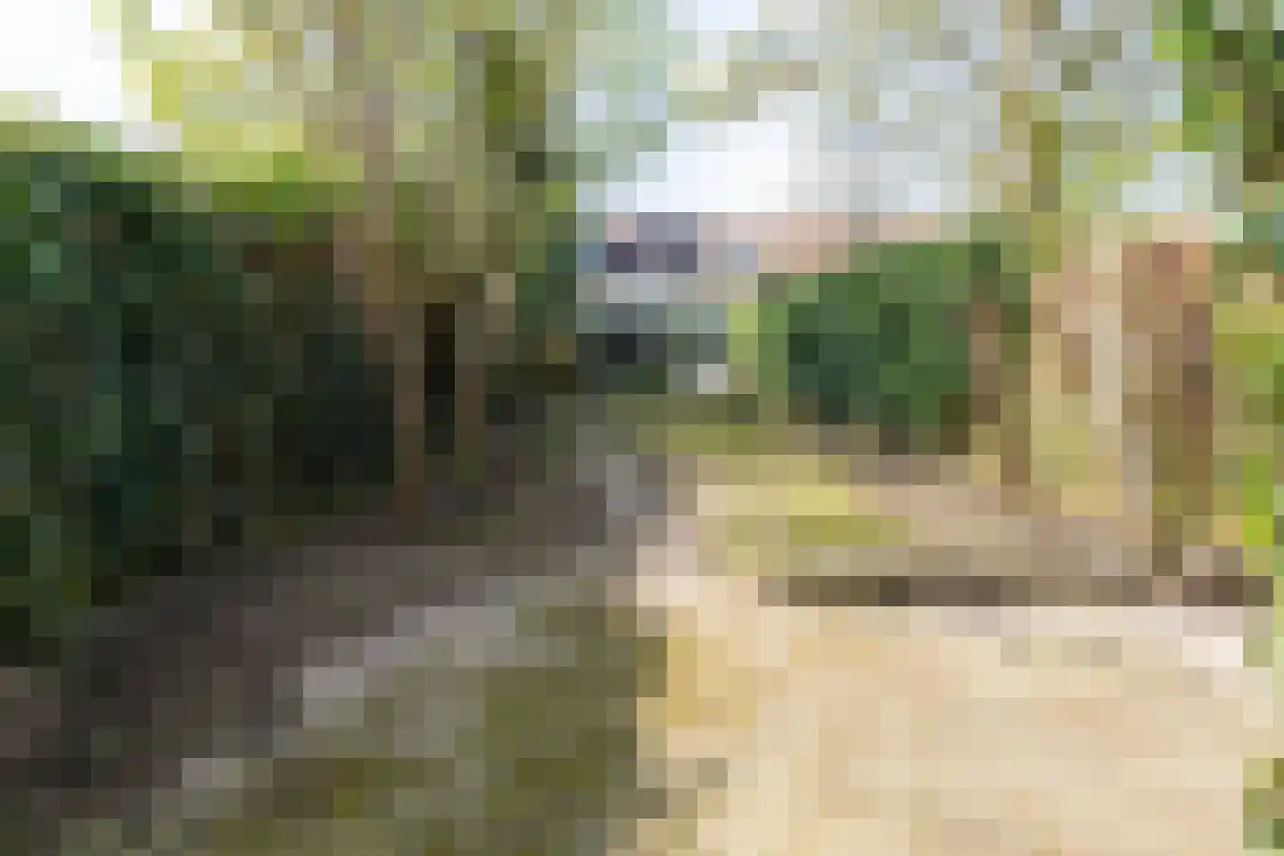 Juliusstraat 28 Eindhoven thumbnail 25