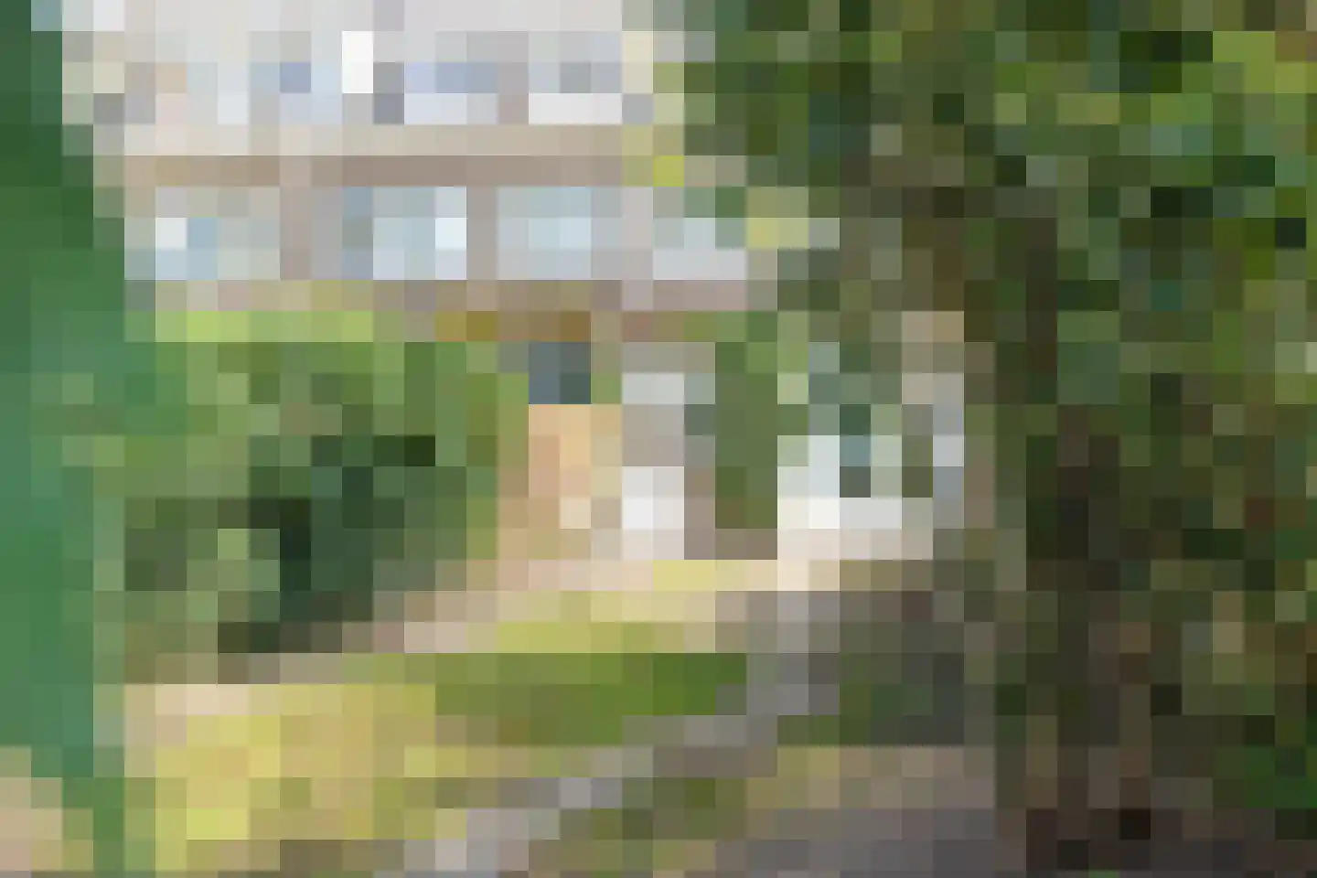 Juliusstraat 28 Eindhoven thumbnail 29