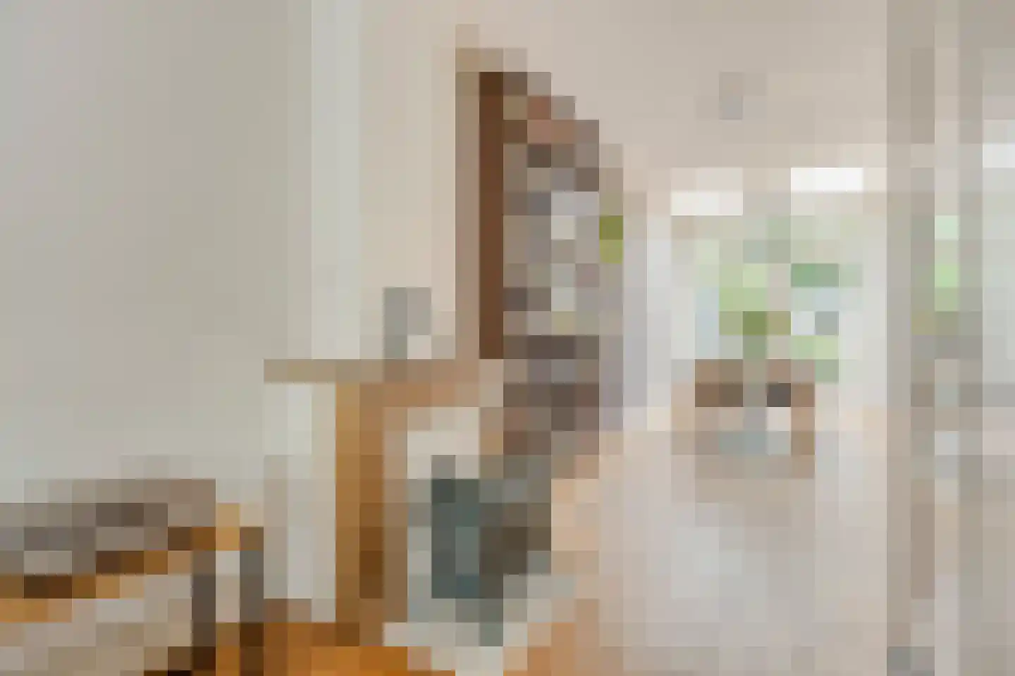 Juliusstraat 39 Eindhoven thumbnail 14