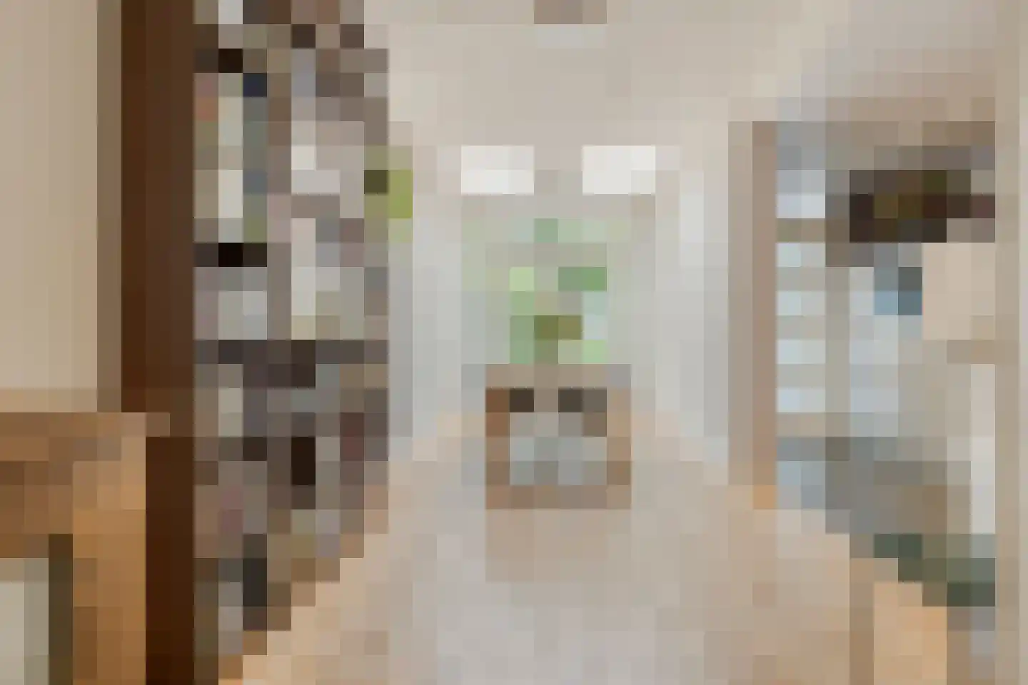 Juliusstraat 39 Eindhoven thumbnail 16