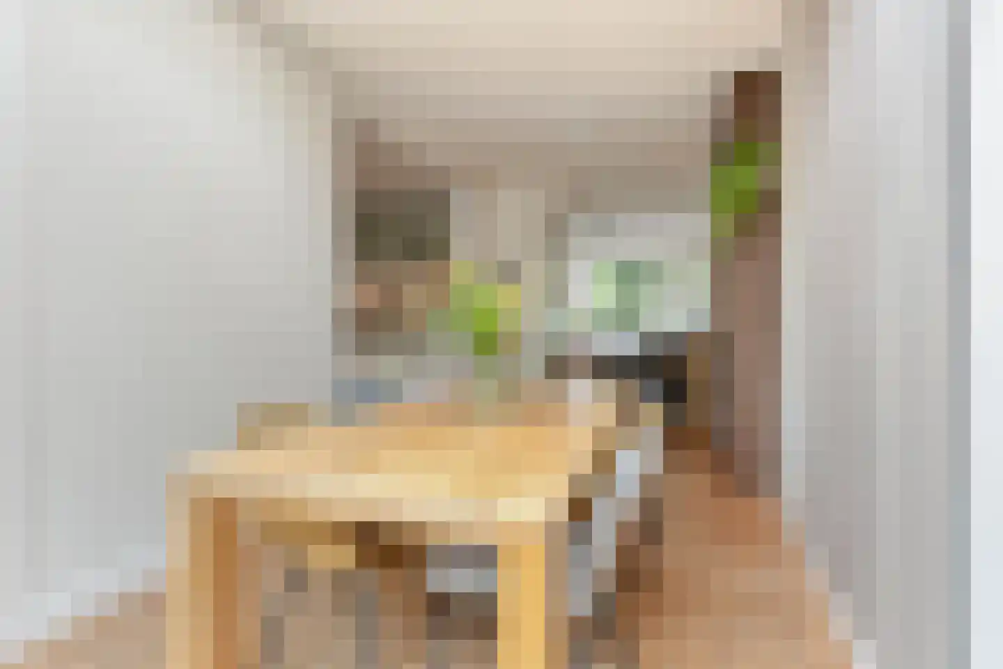 Juliusstraat 39 Eindhoven thumbnail 19