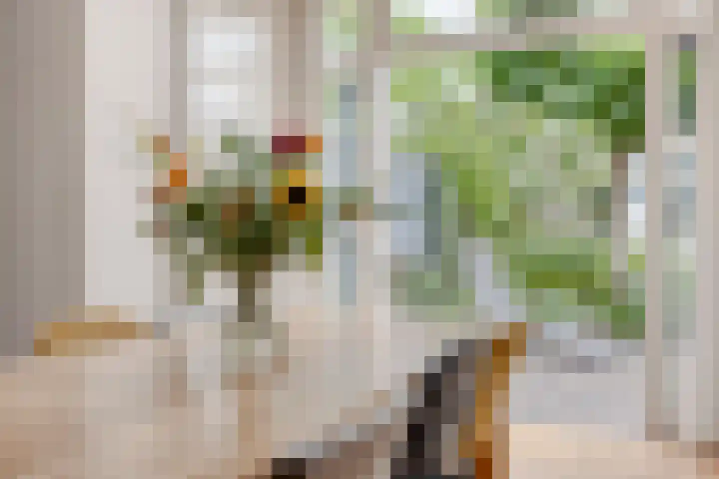 Juliusstraat 39 Eindhoven thumbnail 21