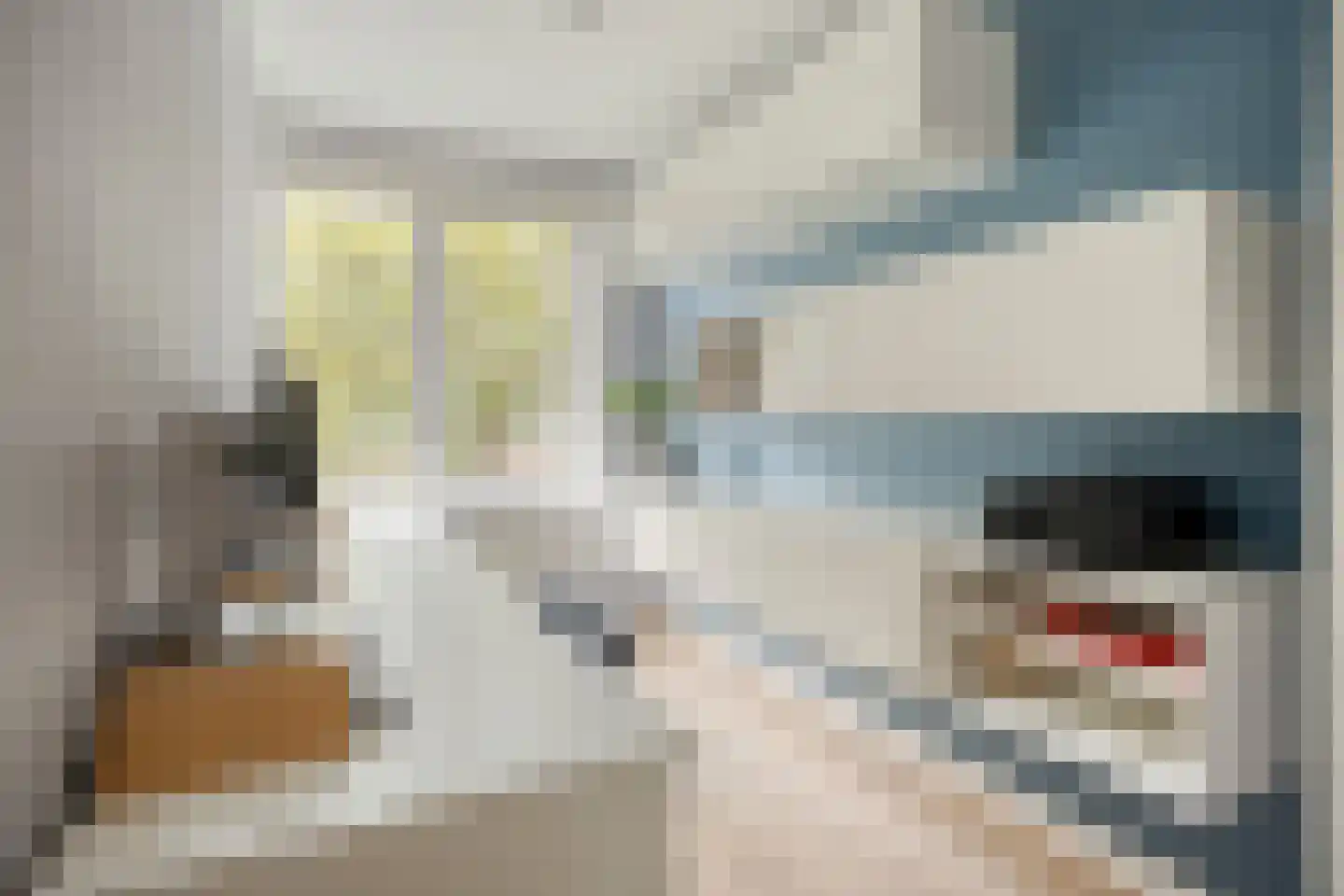 Juliusstraat 39 Eindhoven thumbnail 32
