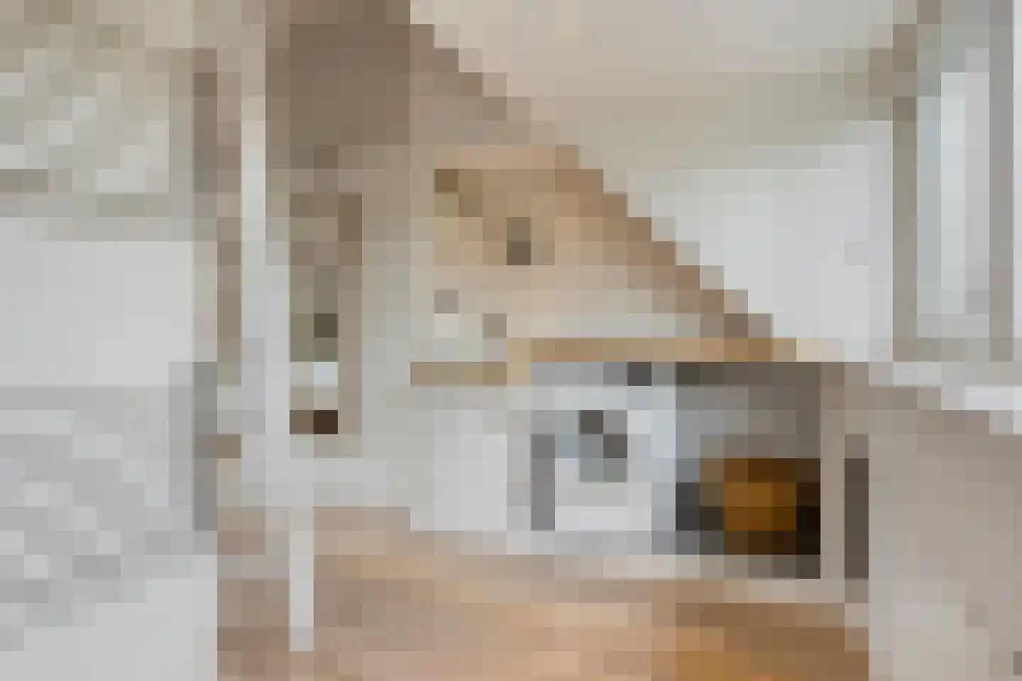 Juliusstraat 39 Eindhoven thumbnail 44