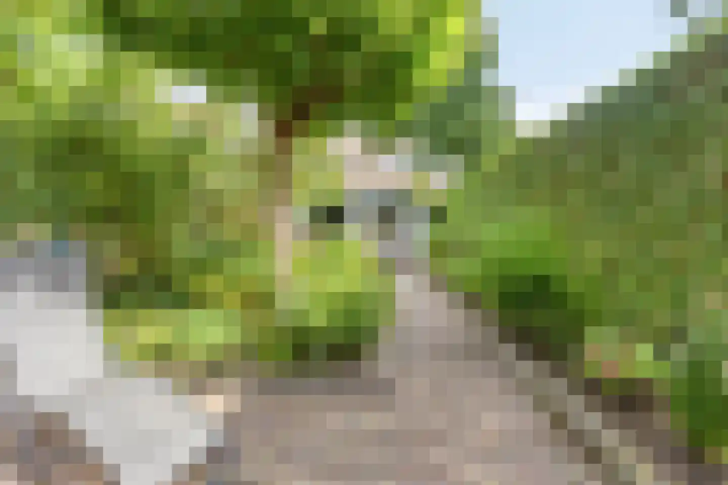 Juliusstraat 39 Eindhoven thumbnail 49