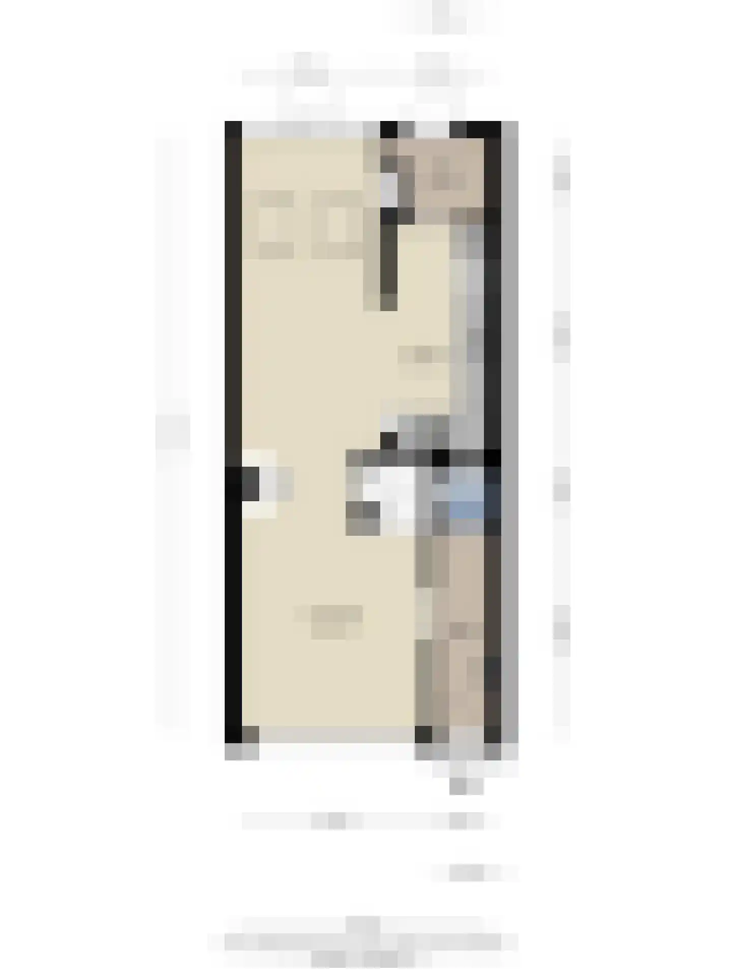 Juliusstraat 39 Eindhoven thumbnail 56