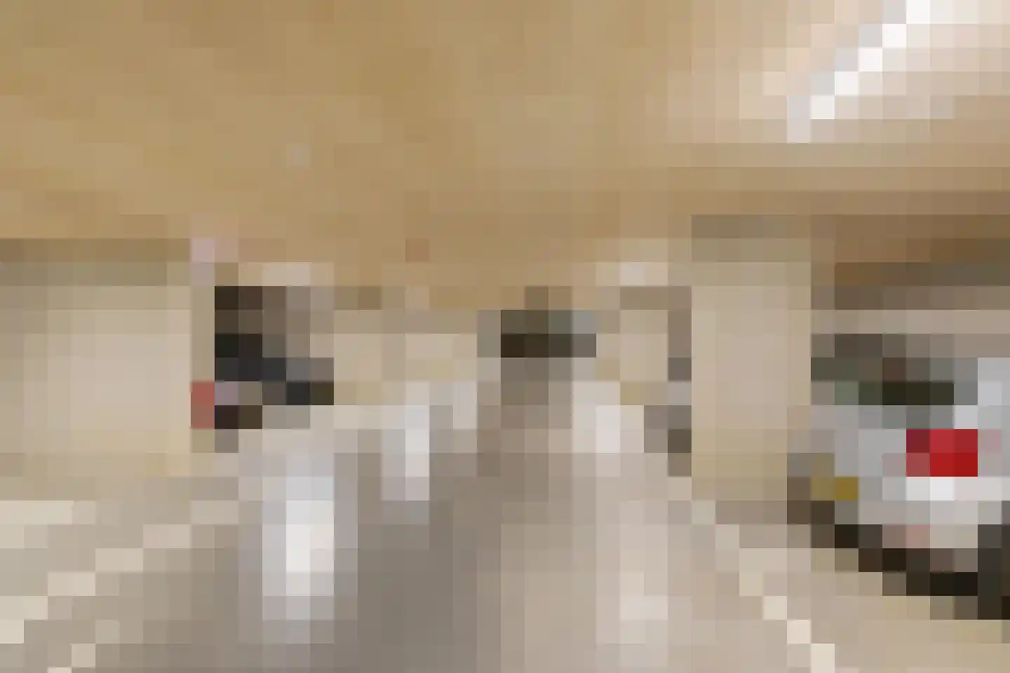 Jullensstraat 5 Groningen thumbnail 39