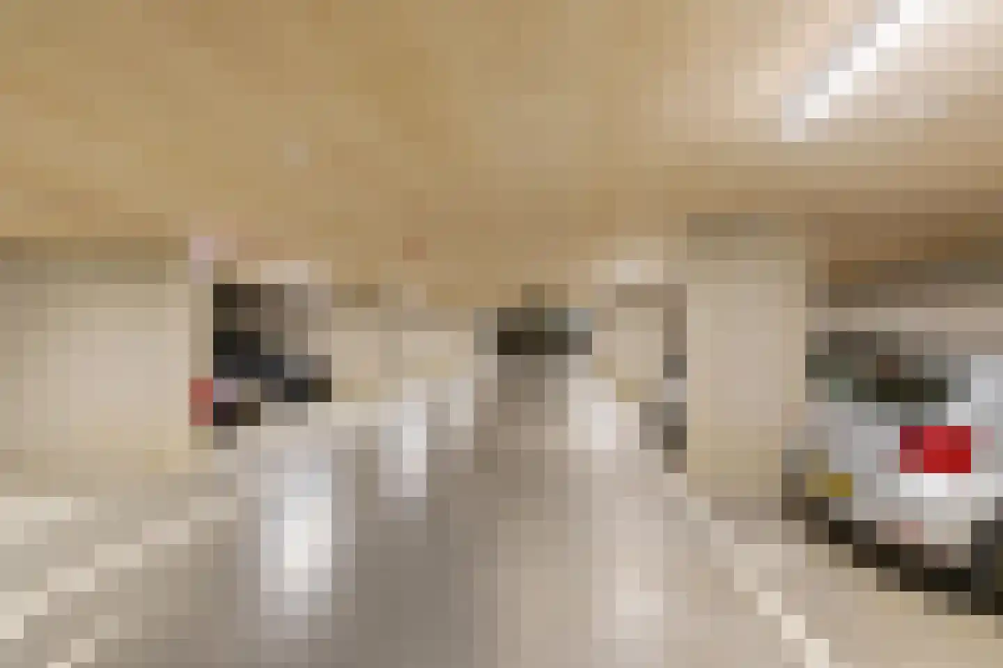 Jullensstraat 67 Groningen thumbnail 38