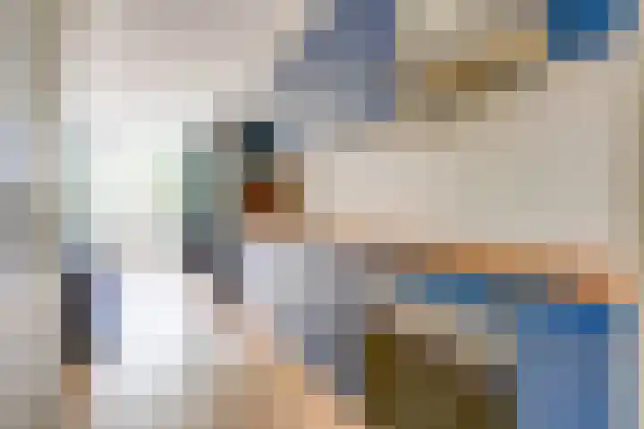 Jungfrau 136 Utrecht thumbnail 11