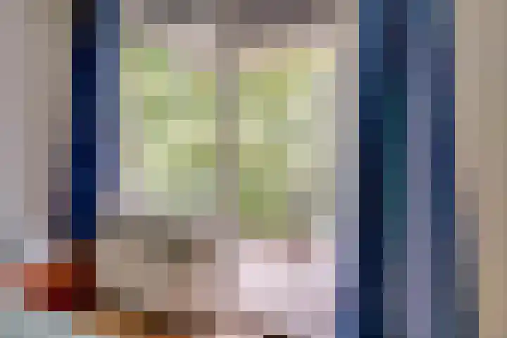 Jungfrau 136 Utrecht thumbnail 14