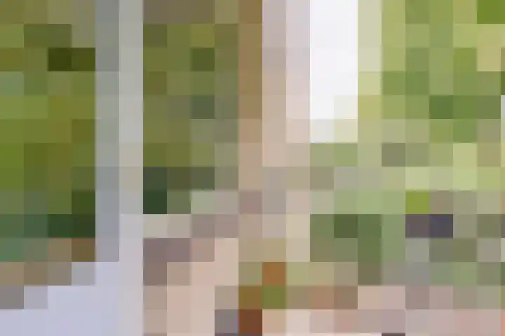 Jungfrau 136 Utrecht thumbnail 15