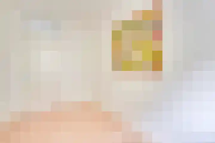 Jungfrau 136 Utrecht thumbnail 17