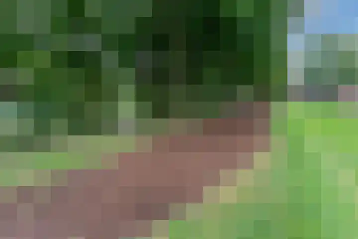 Jungfrau 136 Utrecht thumbnail 22