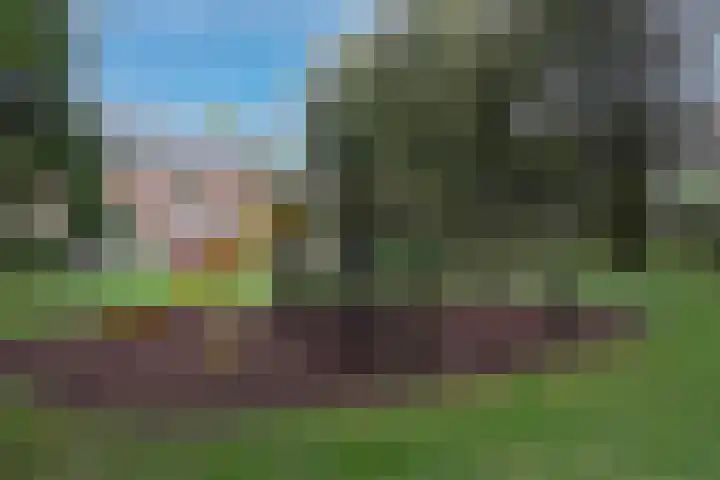 Jungfrau 136 Utrecht thumbnail 23