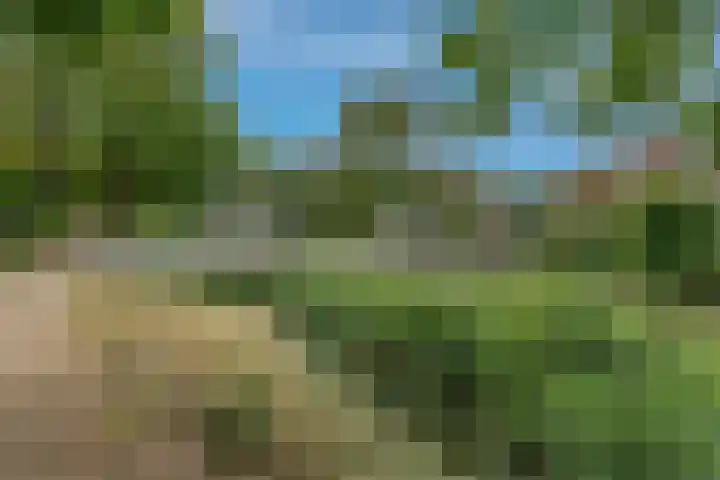 Jungfrau 136 Utrecht thumbnail 24
