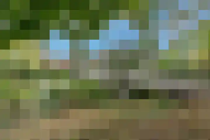 Jungfrau 136 Utrecht thumbnail 25