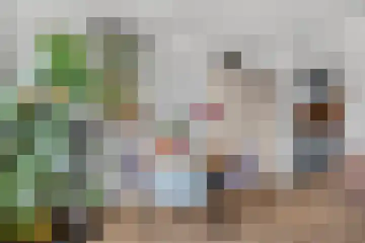 Jungfrau 16 Utrecht thumbnail 14