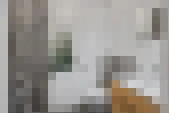 Jungfrau 16 Utrecht thumbnail 24