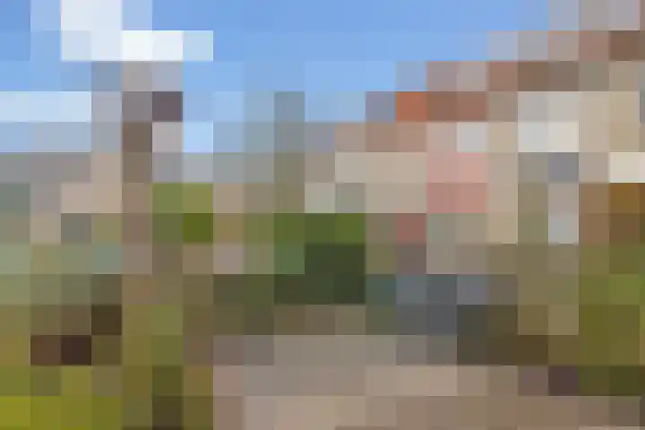 Jungfrau 16 Utrecht thumbnail 28