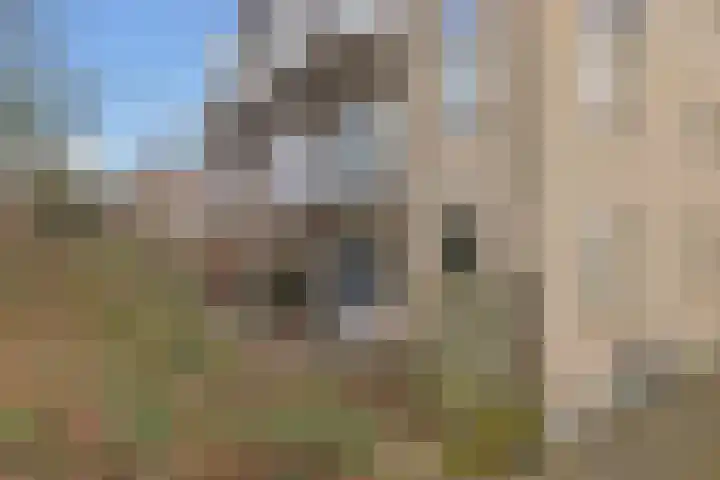 Jungfrau 16 Utrecht thumbnail 32
